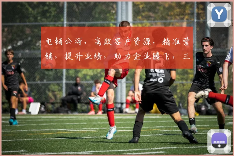 电销公海，高效客户资源，精准营销，提升业绩，助力企业腾飞，三步实现销售突破