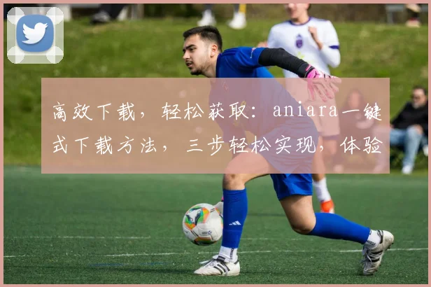 高效下载，轻松获取：aniara一键式下载方法，三步轻松实现，体验极致便捷