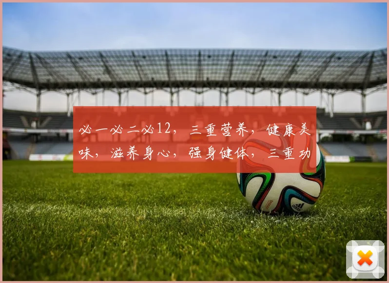必一必二必12，三重营养，健康美味，滋养身心，强身健体，三重功效，一网打尽